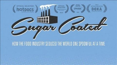 Sugar Coated